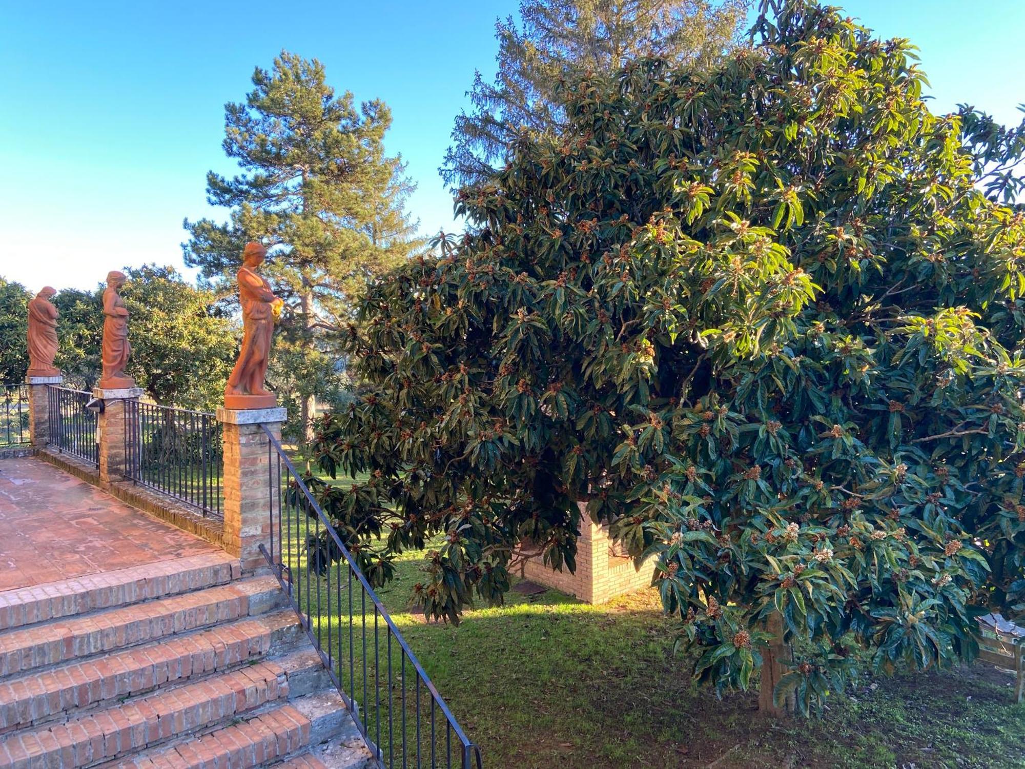 Casaletolfe Residence Σιένα Εξωτερικό φωτογραφία